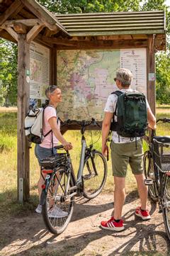 Hotelcamp Reinsehlen | Schneverdingen | Gallery Hotel & Rooms 21