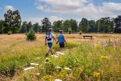 Hotelcamp Reinsehlen | Schneverdingen | Gallery Hotel & Rooms 16