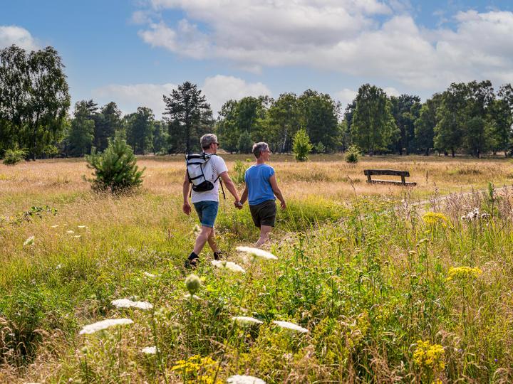 Hotelcamp Reinsehlen | Schneverdingen | 2