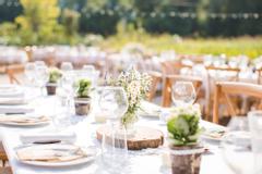 Hotelcamp Reinsehlen | Schneverdingen | Festliche Tafel im Garten mit Holzstühlen, weißer Tischdecke und Baumplatten auf den Tischen als Deko.