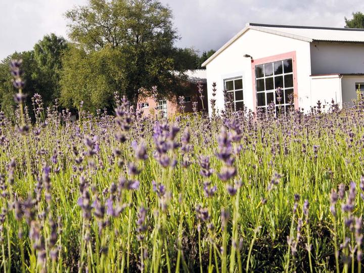 Hotelcamp Reinsehlen | Schneverdingen | 10