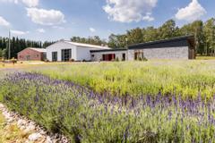 Hotelcamp Reinsehlen | Schneverdingen | Rote und Weiße Halle und LehrReich mit Lavendelfeld