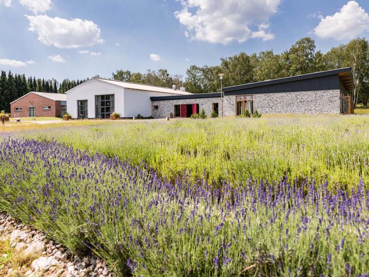 Hotelcamp Reinsehlen | Schneverdingen | 18