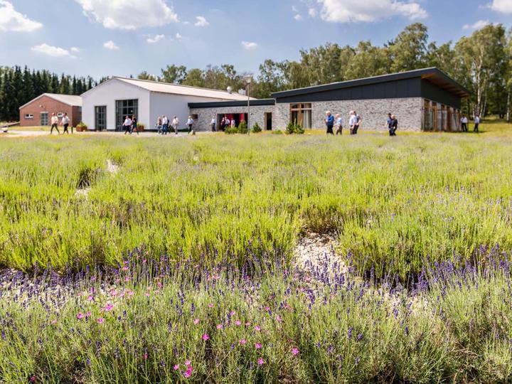 Hotelcamp Reinsehlen | Schneverdingen | 11