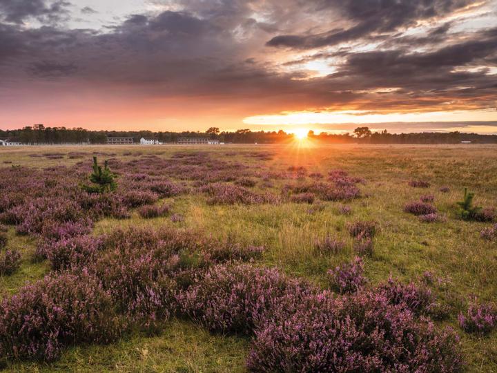 Hotelcamp Reinsehlen | Schneverdingen | 6