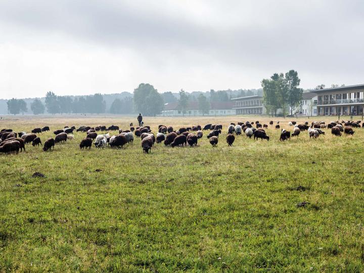 Hotelcamp Reinsehlen | Schneverdingen | 1