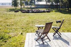 Hotelcamp Reinsehlen | Schneverdingen | Heidschnucken vor den Lodge-Zimmern