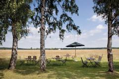 Hotelcamp Reinsehlen | Schneverdingen | Schattiger Sitzplatz unter Birken im Sommer