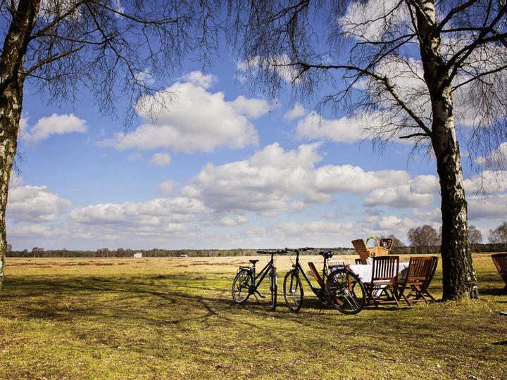 Hotelcamp Reinsehlen | Schneverdingen | 4