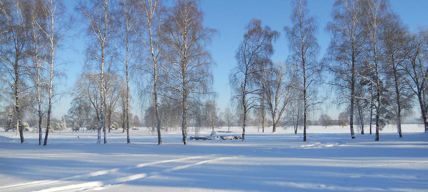 Hotelcamp Reinsehlen | Schneverdingen | 3