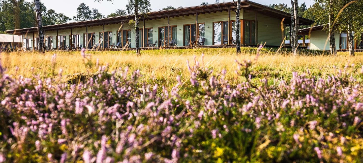 Hotelcamp Reinsehlen | Schneverdingen | 5