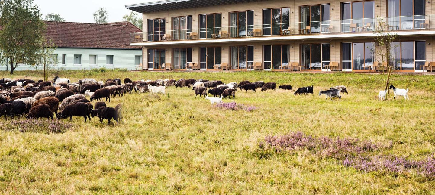 Hotelcamp Reinsehlen | Schneverdingen | 1