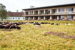 Hotelcamp Reinsehlen | Schneverdingen | Gallery Hotel & Rooms 5