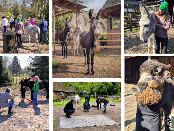 Hotelcamp Reinsehlen | Schneverdingen | 2