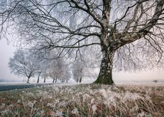 Hotelcamp Reinsehlen | Schneverdingen | Gallery Hotel & Rooms 25