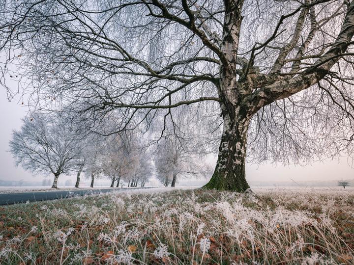 Hotelcamp Reinsehlen | Schneverdingen | 2