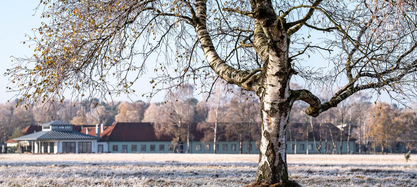 Hotelcamp Reinsehlen | Schneverdingen | 3