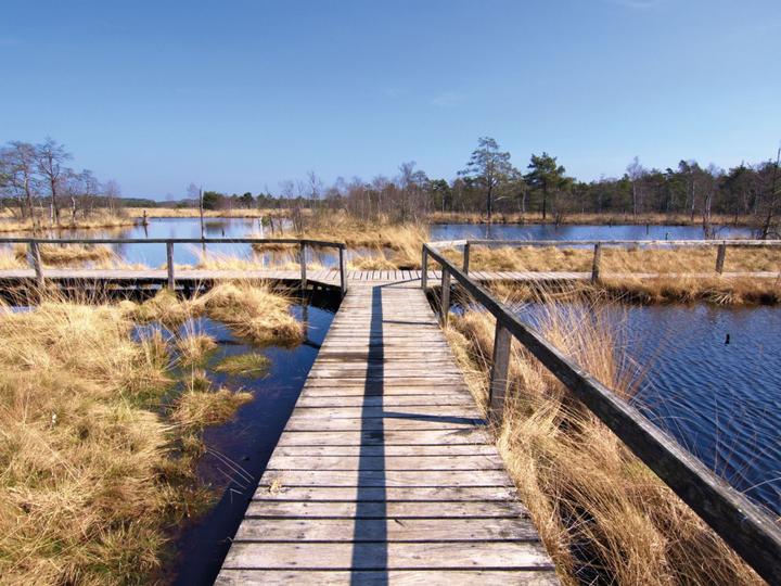 Hotelcamp Reinsehlen | Schneverdingen | 3