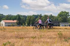 Hotelcamp Reinsehlen | Schneverdingen | Gallery Hotel & Rooms 10