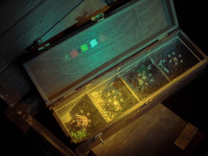 Hotelcamp Reinsehlen | Schneverdingen | 12