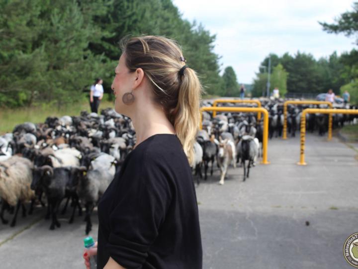 Hotelcamp Reinsehlen | Schneverdingen | 1