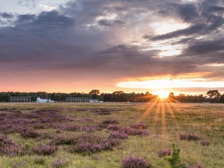 Hotelcamp Reinsehlen | Schneverdingen | 7