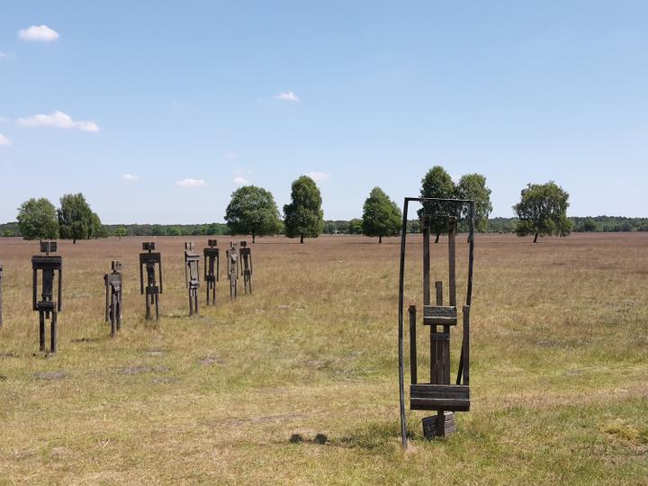 Hotelcamp Reinsehlen | Schneverdingen | 4