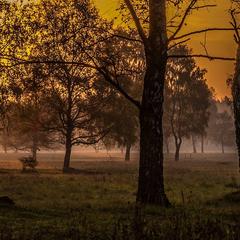 Hotelcamp Reinsehlen | Schneverdingen | Gallery Hotel & Rooms 12