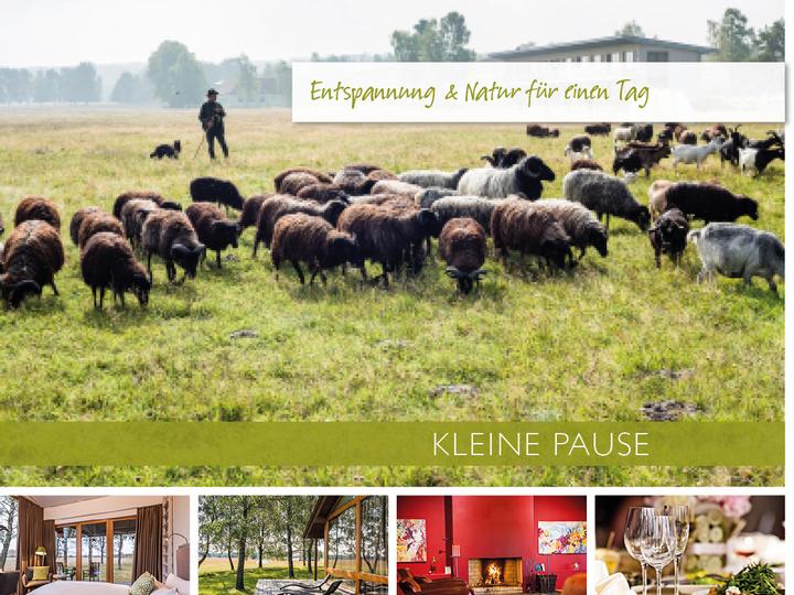 Hotelcamp Reinsehlen | Schneverdingen | 1