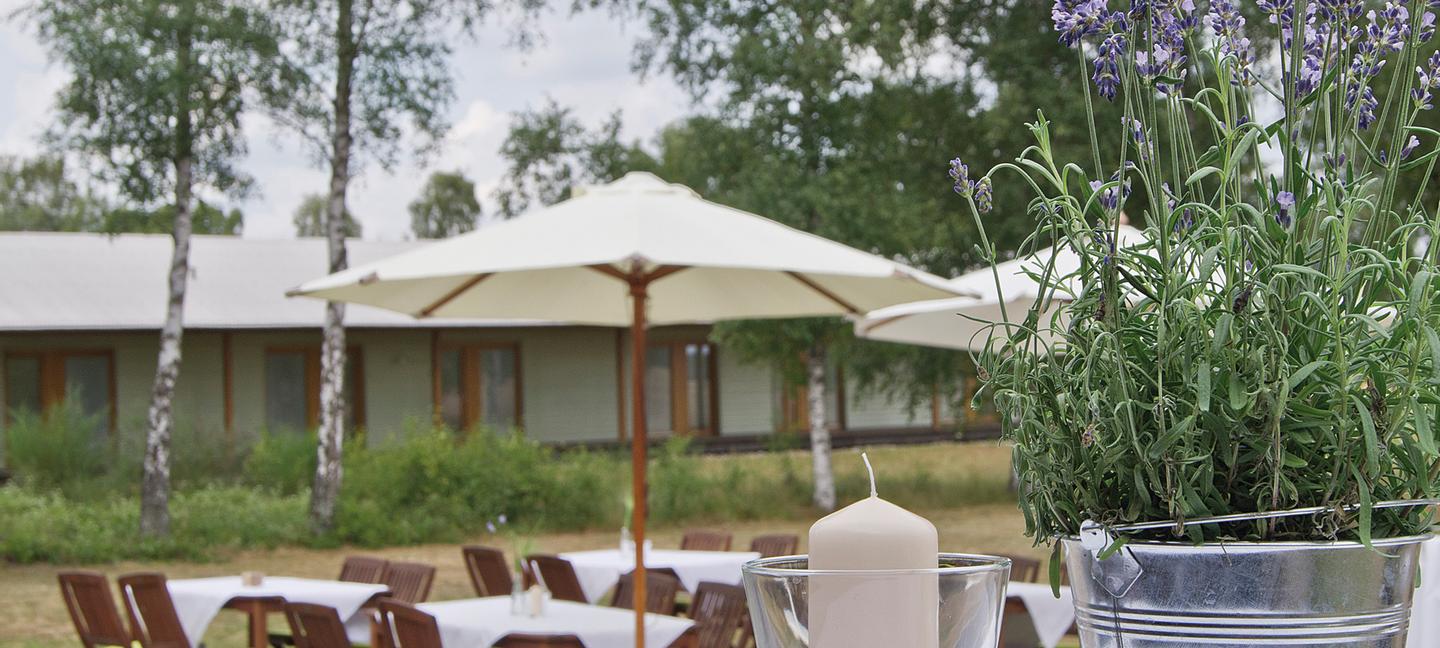 Hotelcamp Reinsehlen | Schneverdingen | 3