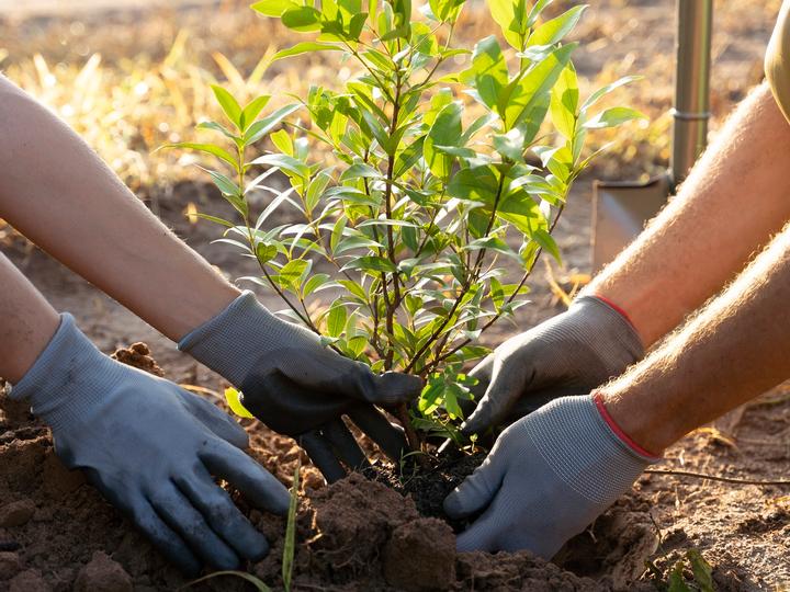 Hotelcamp Reinsehlen | Schneverdingen | 10