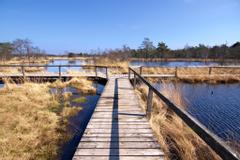 Hotelcamp Reinsehlen | Schneverdingen | Gallery Hotel & Rooms 15