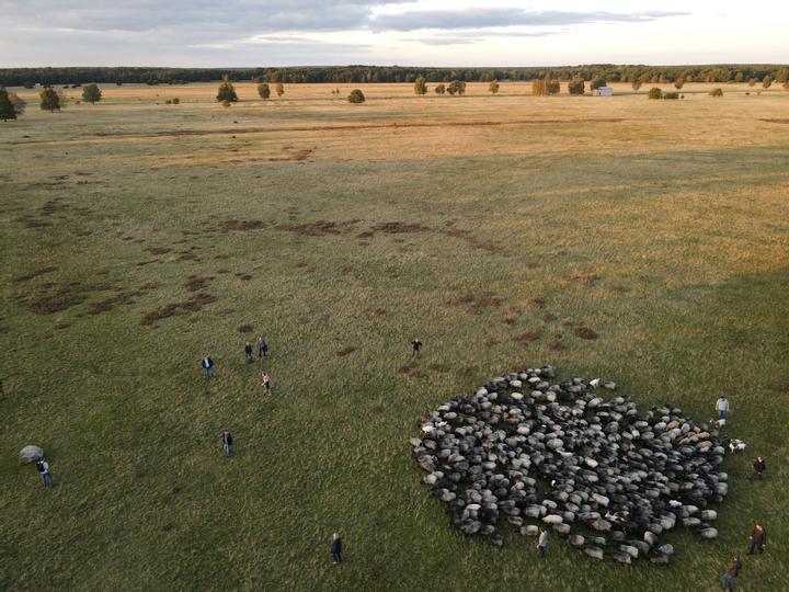 Hotelcamp Reinsehlen | Schneverdingen | 2