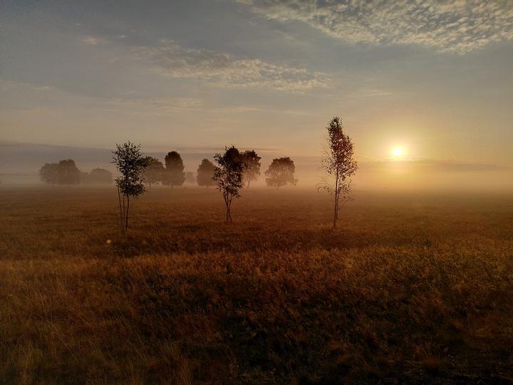 Hotelcamp Reinsehlen | Schneverdingen | 3