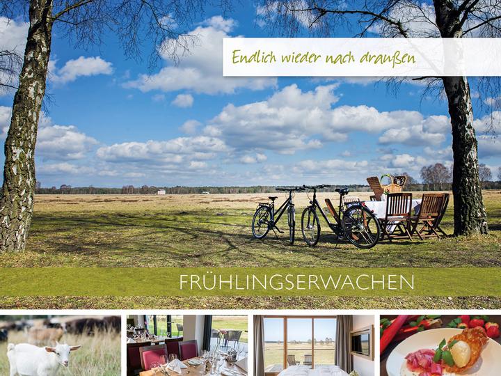 Hotelcamp Reinsehlen | Schneverdingen | 1