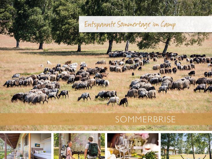 Hotelcamp Reinsehlen | Schneverdingen | 1