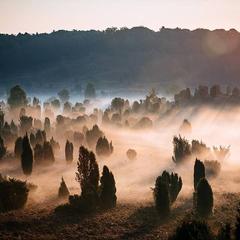 Hotelcamp Reinsehlen | Schneverdingen | Gallery Hotel & Rooms 18