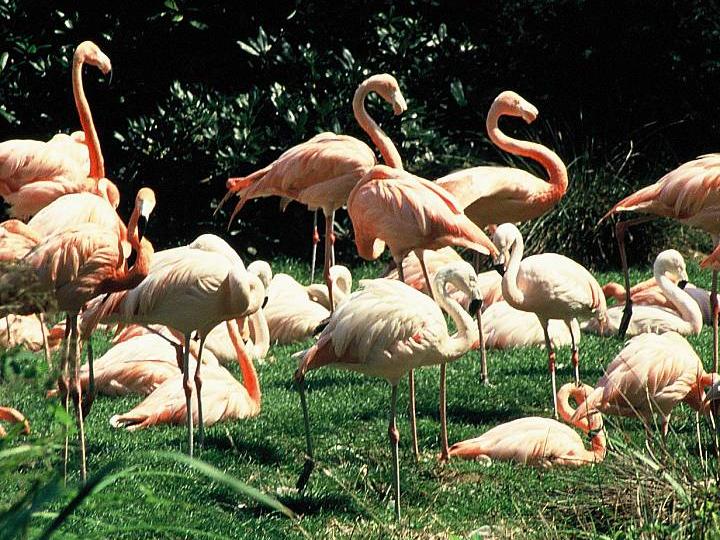 Hotelcamp Reinsehlen | Schneverdingen | 6