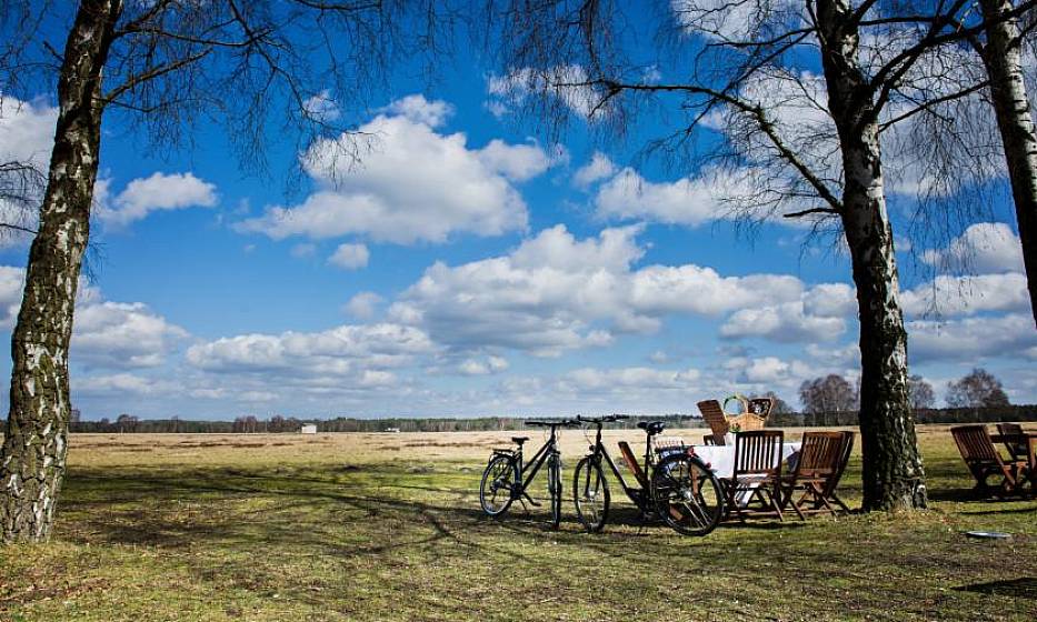 Hotelcamp Reinsehlen | Schneverdingen | Spring Awakening